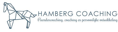 Hamberg Coaching
